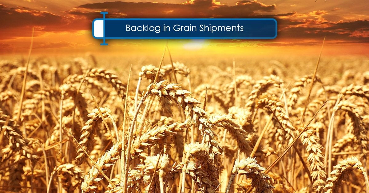 Backlog in Grain Shipments